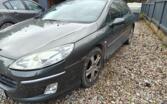 Peugeot 407 1 generation Sedan