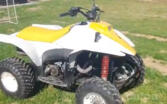 Polaris Trail Blazer