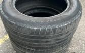 Pirelli