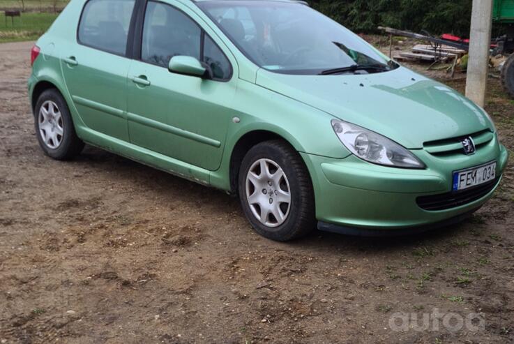 Peugeot 307 1 generation Hatchback 5-doors