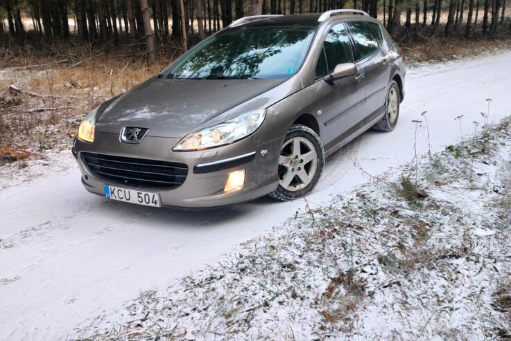 Peugeot 407 1 generation wagon