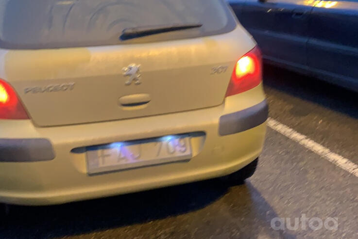 Peugeot 307 1 generation Hatchback 3-doors