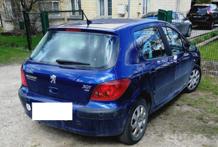 Peugeot 307 1 generation Hatchback 5-doors