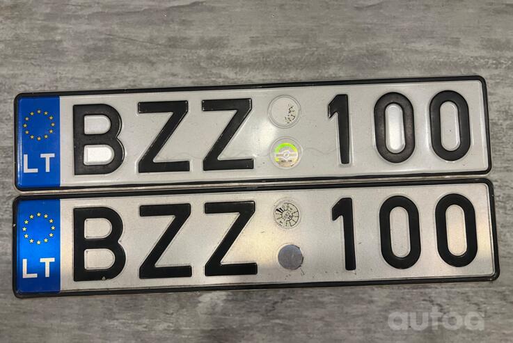 BZZ100