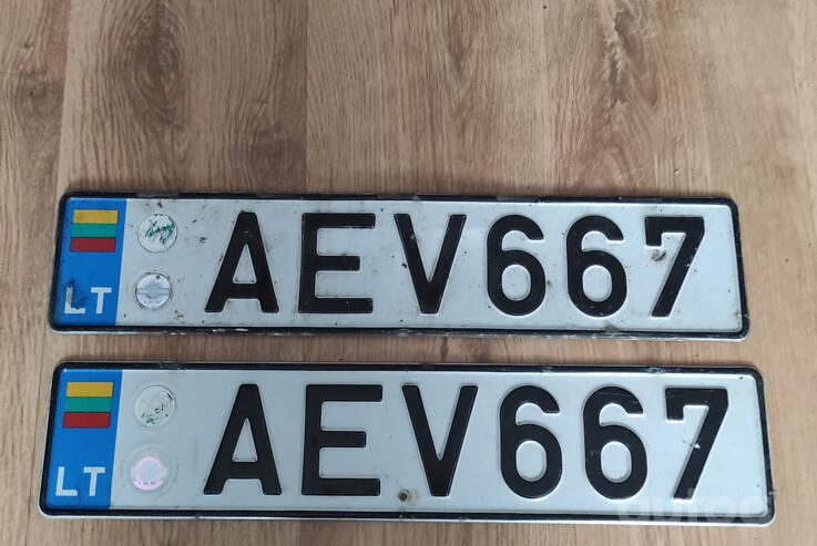 AEV667