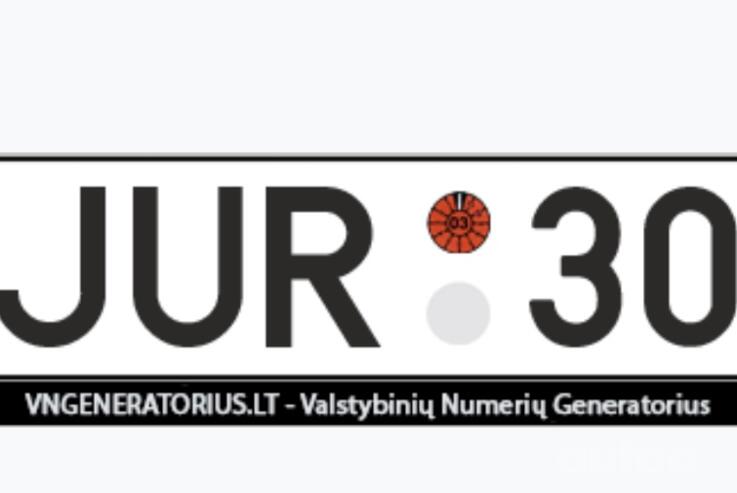 JUR305