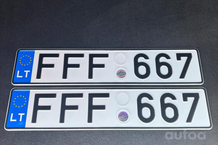 FFF667