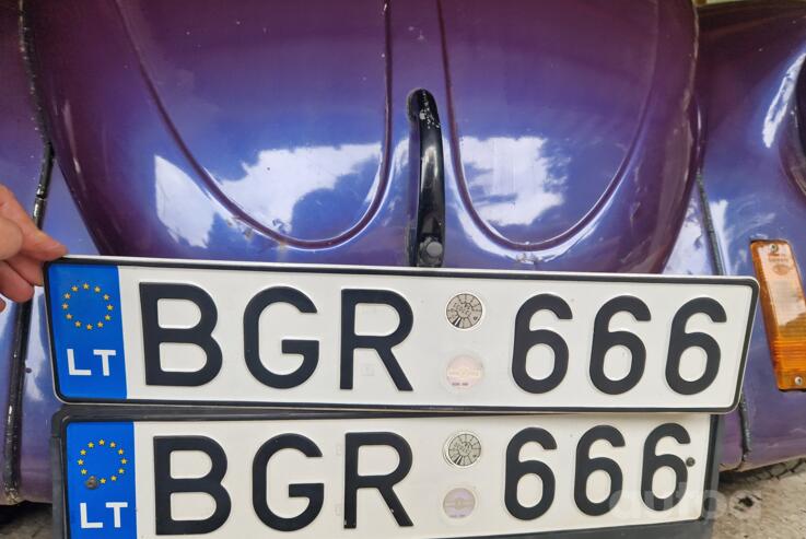 BGR666