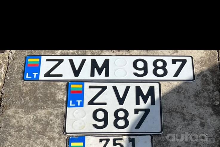 ZVM987