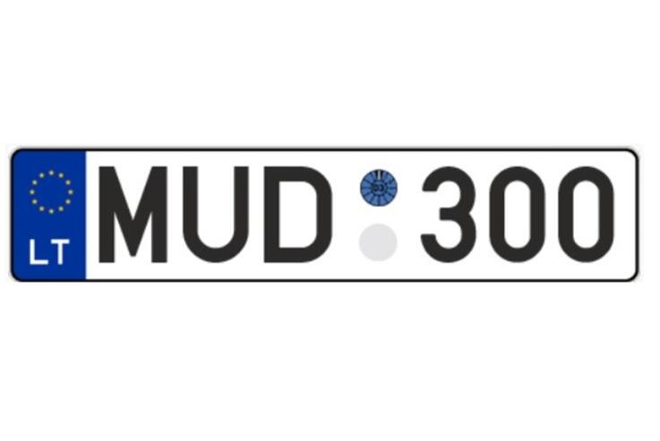 MUD 300