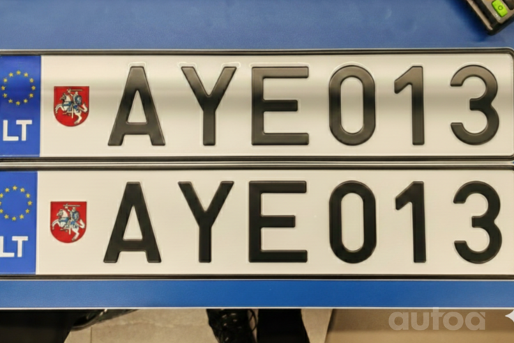 AYE013