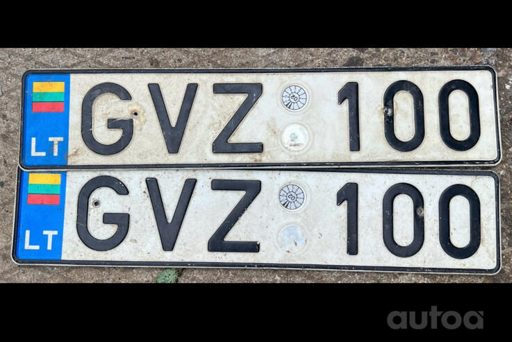 GVZ100