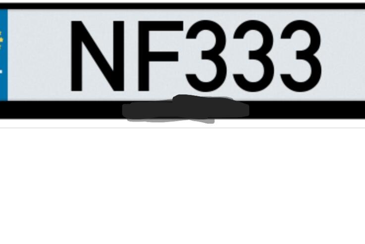 NF333