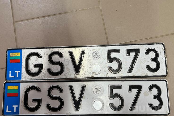 GSV573