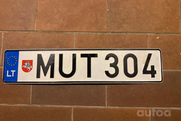 MUT304