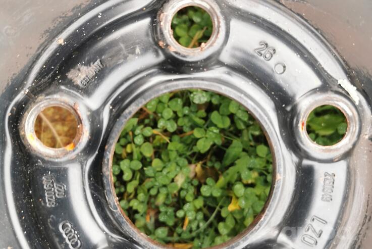 Audi, volkswagen, plieniniai štampuoti